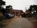 gate pine 06.JPG